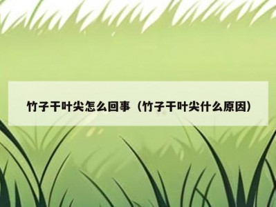竹子干叶尖怎么回事（竹子干叶尖什么原因）