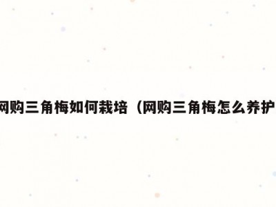 网购三角梅如何栽培（网购三角梅怎么养护）