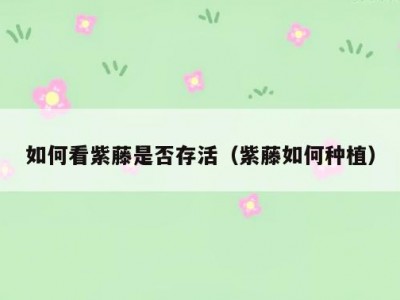 如何看紫藤是否存活（紫藤如何种植）