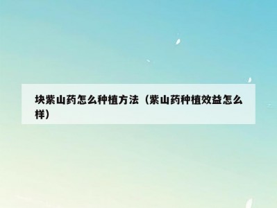 块紫山药怎么种植方法（紫山药种植效益怎么样）