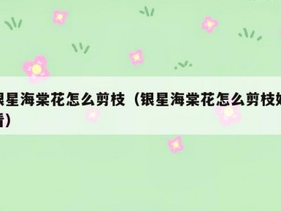 银星海棠花怎么剪枝（银星海棠花怎么剪枝好看）