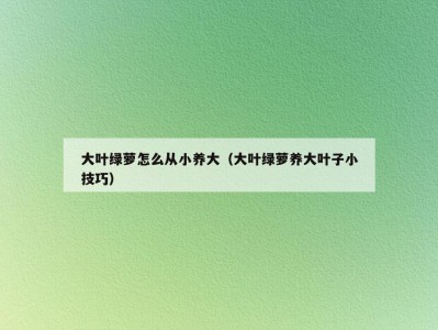 大叶绿萝怎么从小养大（大叶绿萝养大叶子小技巧）