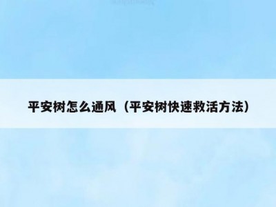 平安树怎么通风（平安树快速救活方法）