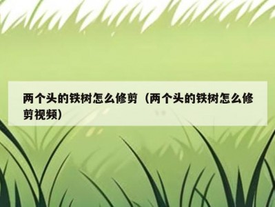 两个头的铁树怎么修剪（两个头的铁树怎么修剪视频）