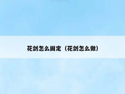 花剑怎么固定（花剑怎么做）