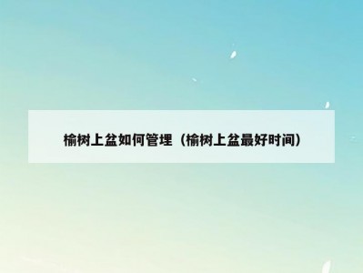 榆树上盆如何管埋（榆树上盆最好时间）