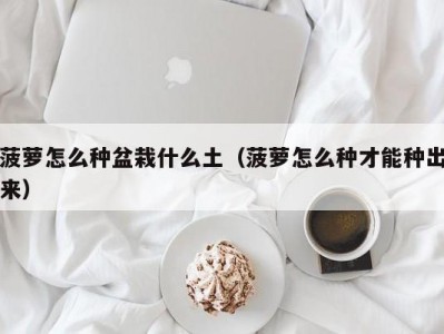 菠萝怎么种盆栽什么土（菠萝怎么种才能种出来）