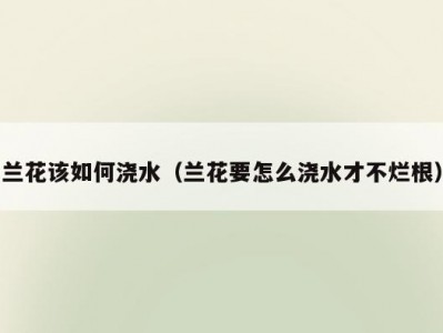 兰花该如何浇水（兰花要怎么浇水才不烂根）