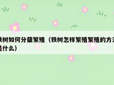 铁树如何分蘖繁殖（铁树怎样繁殖繁殖的方法是什么）