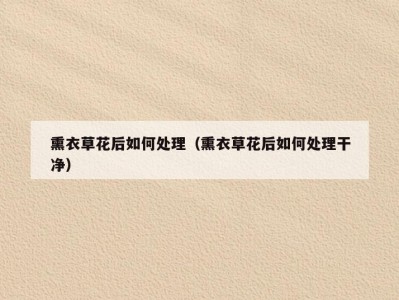 熏衣草花后如何处理（熏衣草花后如何处理干净）