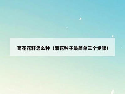 菊花花籽怎么种（菊花种子最简单三个步骤）