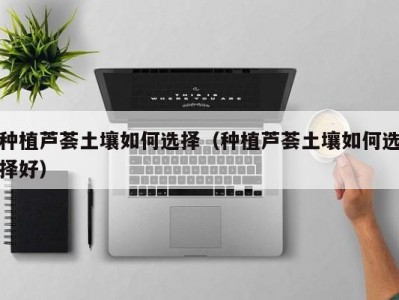 种植芦荟土壤如何选择（种植芦荟土壤如何选择好）