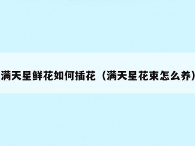 满天星鲜花如何插花（满天星花束怎么养）