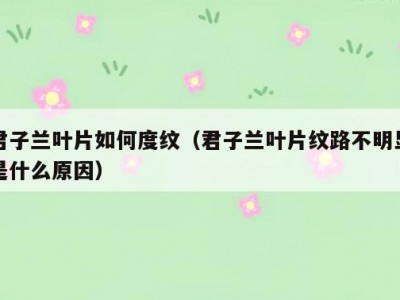 君子兰叶片如何度纹（君子兰叶片纹路不明显是什么原因）