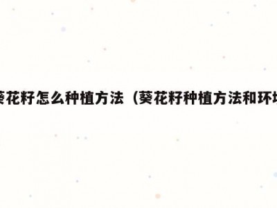 葵花籽怎么种植方法（葵花籽种植方法和环境）