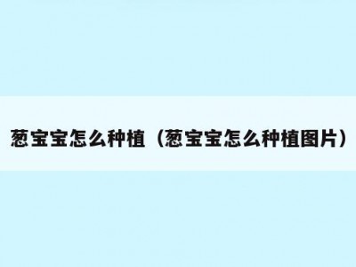 葱宝宝怎么种植（葱宝宝怎么种植图片）