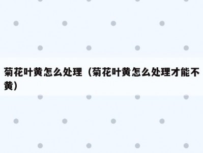 菊花叶黄怎么处理（菊花叶黄怎么处理才能不黄）