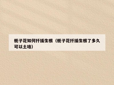 栀子花如何扦插生根（栀子花扦插生根了多久可以土培）