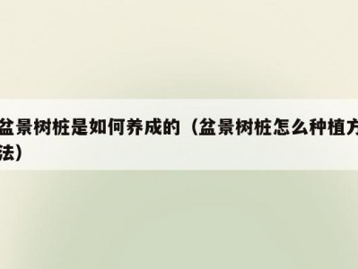 盆景树桩是如何养成的（盆景树桩怎么种植方法）