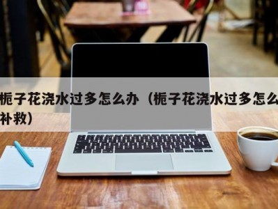 栀子花浇水过多怎么办（栀子花浇水过多怎么补救）