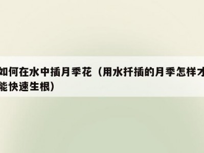 如何在水中插月季花（用水扦插的月季怎样才能快速生根）