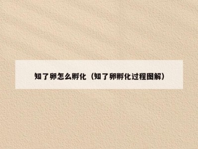 知了卵怎么孵化（知了卵孵化过程图解）