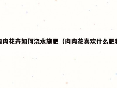肉肉花卉如何浇水施肥（肉肉花喜欢什么肥料）