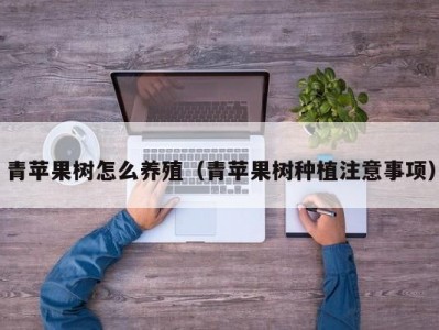 青苹果树怎么养殖（青苹果树种植注意事项）