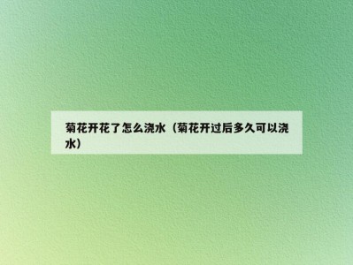 菊花开花了怎么浇水（菊花开过后多久可以浇水）