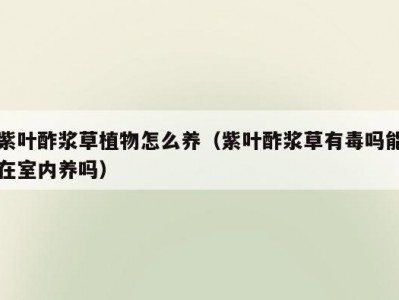 紫叶酢浆草植物怎么养（紫叶酢浆草有毒吗能在室内养吗）