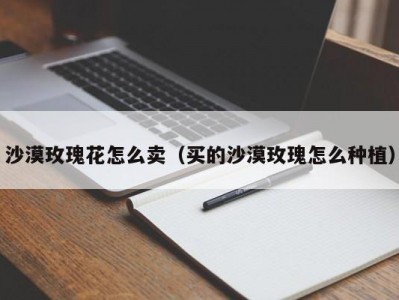 沙漠玫瑰花怎么卖（买的沙漠玫瑰怎么种植）