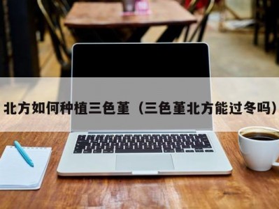 北方如何种植三色堇（三色堇北方能过冬吗）