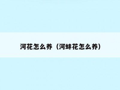 河花怎么养（河蚌花怎么养）