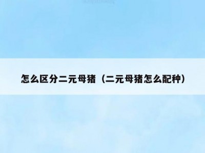 怎么区分二元母猪（二元母猪怎么配种）