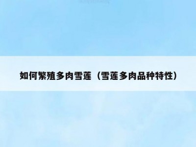 如何繁殖多肉雪莲（雪莲多肉品种特性）