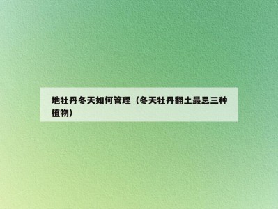 地牡丹冬天如何管理（冬天牡丹翻土最忌三种植物）