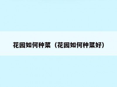 花园如何种菜（花园如何种菜好）