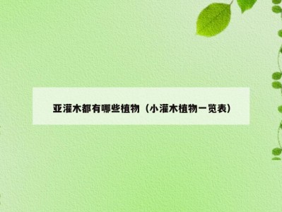 亚灌木都有哪些植物（小灌木植物一览表）