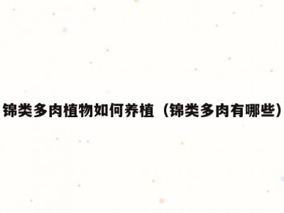 锦类多肉植物如何养植（锦类多肉有哪些）