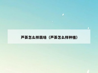 芦荟怎么样栽培（芦荟怎么样种植）