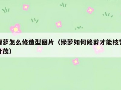 绿萝怎么修造型图片（绿萝如何修剪才能枝繁叶茂）