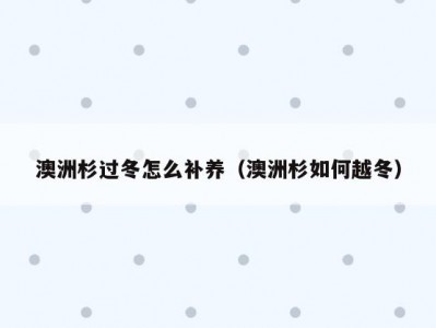 澳洲杉过冬怎么补养（澳洲杉如何越冬）