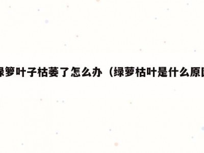 绿箩叶子枯萎了怎么办（绿萝枯叶是什么原因）