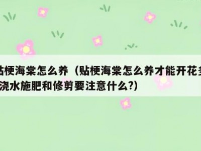 贴梗海棠怎么养（贴梗海棠怎么养才能开花多?浇水施肥和修剪要注意什么?）