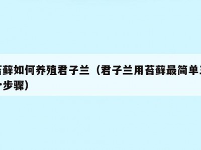 苔藓如何养殖君子兰（君子兰用苔藓最简单三个步骤）