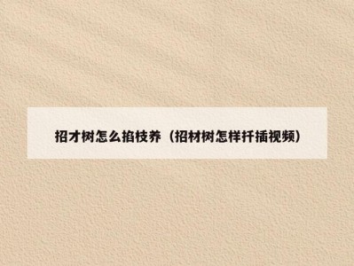 招才树怎么掐枝养（招材树怎样扦插视频）