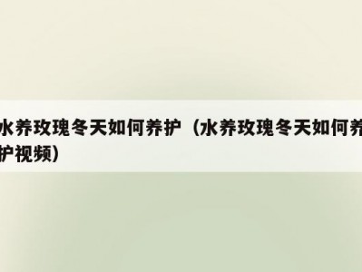 水养玫瑰冬天如何养护（水养玫瑰冬天如何养护视频）