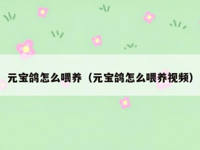 元宝鸽怎么喂养（元宝鸽怎么喂养视频）