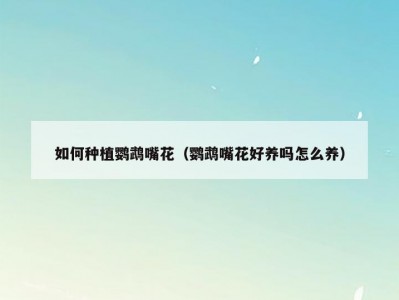 如何种植鹦鹉嘴花（鹦鹉嘴花好养吗怎么养）