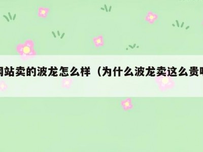 网站卖的波龙怎么样（为什么波龙卖这么贵呢）